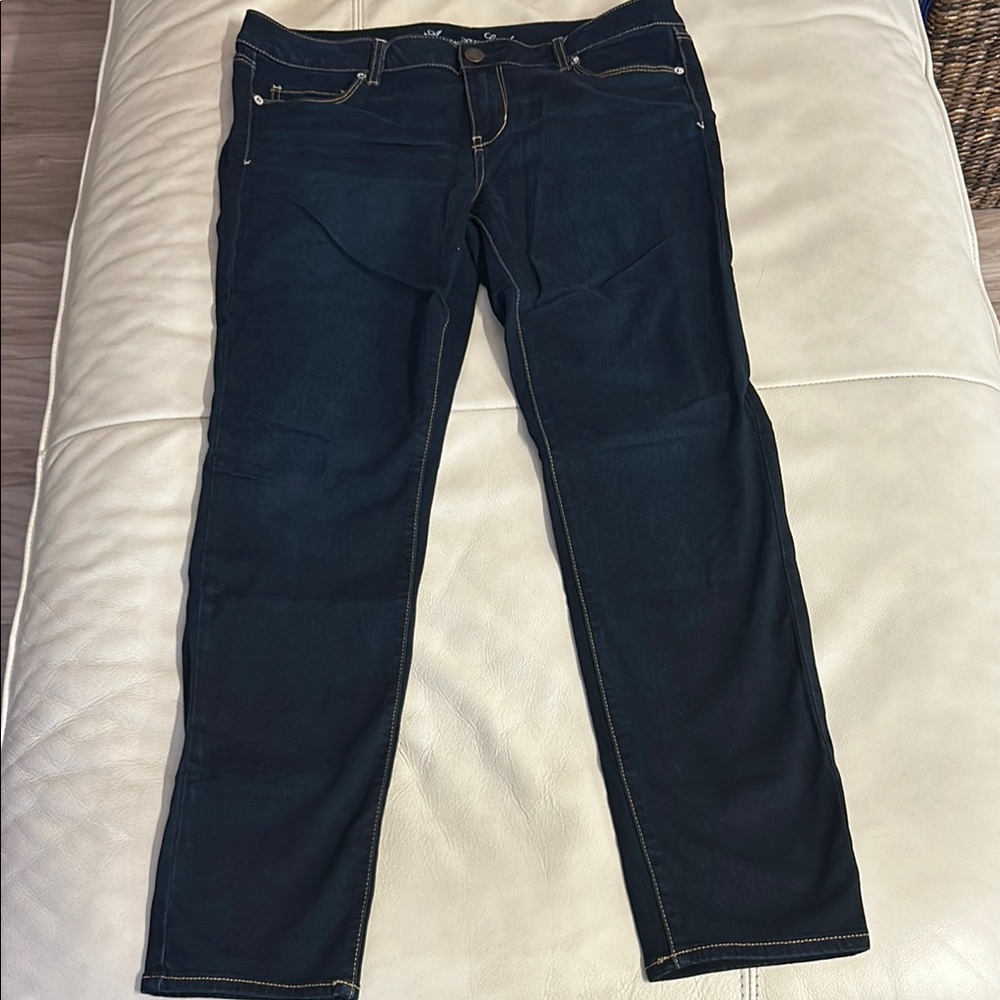 American Eagle Outfitters Blue Skinny Jeans Classic Fit